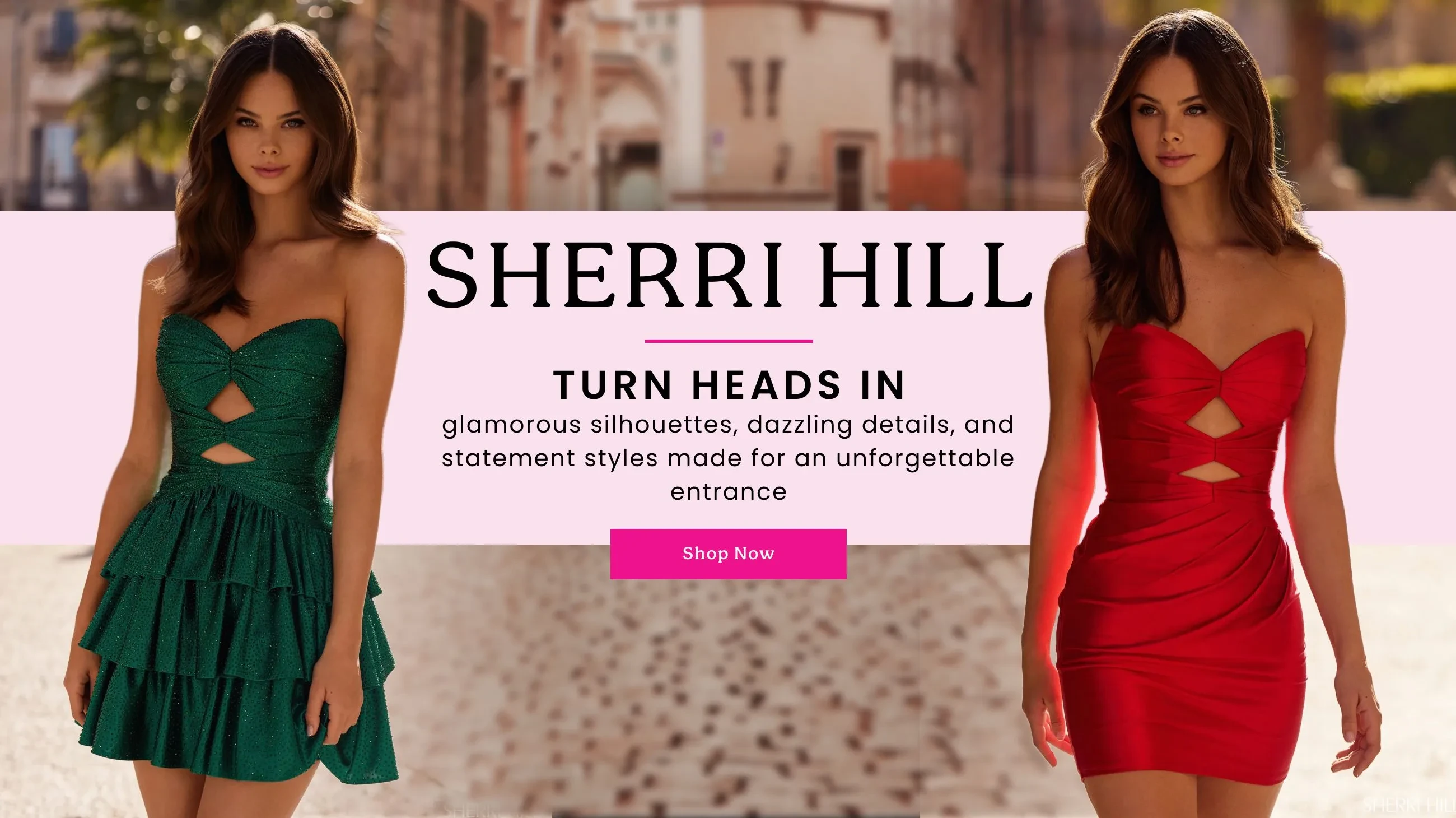 Sherri Hill Banner